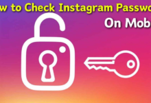 Instagram Password